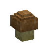 mushroom-kingbolete-normal