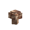 mushroom-shiitake-harvested-south