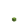 pumpkin-fruit-1