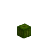 pumpkin-fruit-2