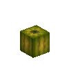 pumpkin-fruit-3