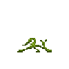 pumpkin-vine-1-normal