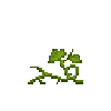pumpkin-vine-2-normal