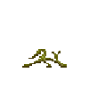 pumpkin-vine-4-withered