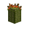 saguarocactus-topripe