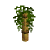 sapling-brownbamboo-snow