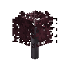sapling-crimsonkingmaple-snow