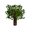 sapling-ebony-free