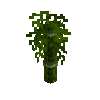 sapling-greenbamboo-snow