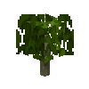 sapling-kapok-free