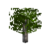 sapling-larch-free