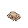 seashell-clam-cinnamon