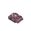 seashell-clam-darkpurple
