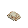 seashell-clam-latte