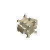 seashell-conch-plain