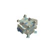 seashell-conch-seafoam