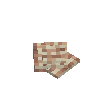 seashell-scallop-cinnamon