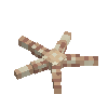 seashell-seastar-cinnamon