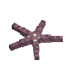 seashell-seastar-darkpurple