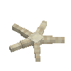 seashell-seastar-plain