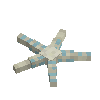 seashell-seastar-seafoam