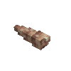 seashell-turritella-cinnamon