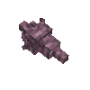 seashell-volute-darkpurple