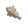 seashell-volute-plain