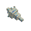 seashell-volute-seafoam