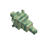 seashell-volute-turquoise