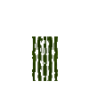 seaweed-section