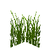 tallgrass-medium-free