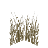 tallgrass-medium-snow2