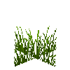 tallgrass-mediumshort-free