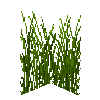 tallgrass-tall-free