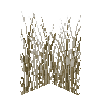 tallgrass-tall-snow