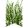 tallgrass-verytall-free