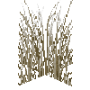 tallgrass-verytall-snow