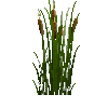 tallplant-coopersreed-land-normal-snow
