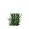 tallplant-tule-land-harvested-free