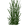 tallplant-tule-land-normal-snow