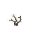antler-caribou-01
