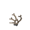 antler-caribou-02