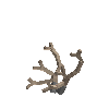 antler-caribou-03