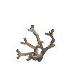 antler-caribou-04