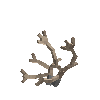 antler-caribou-05
