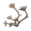 antler-caribou-08