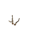 antler-chital-02