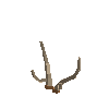 antler-chital-03