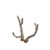 antler-chital-04